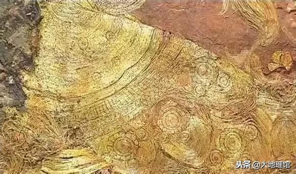 石榴传奇,石榴的传奇故事