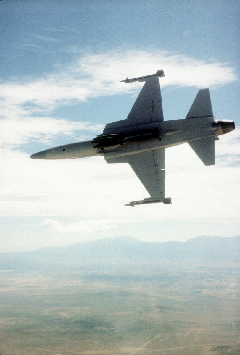 极富悲剧色彩的虎鲸,虎鲨悲剧