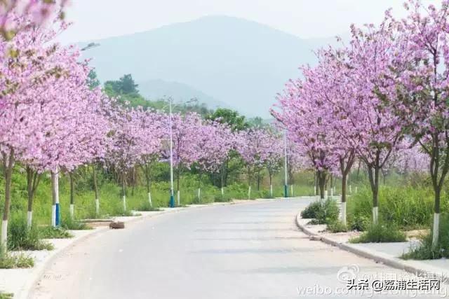 骄傲!桂林电子科技大学,这下又在全国出名了