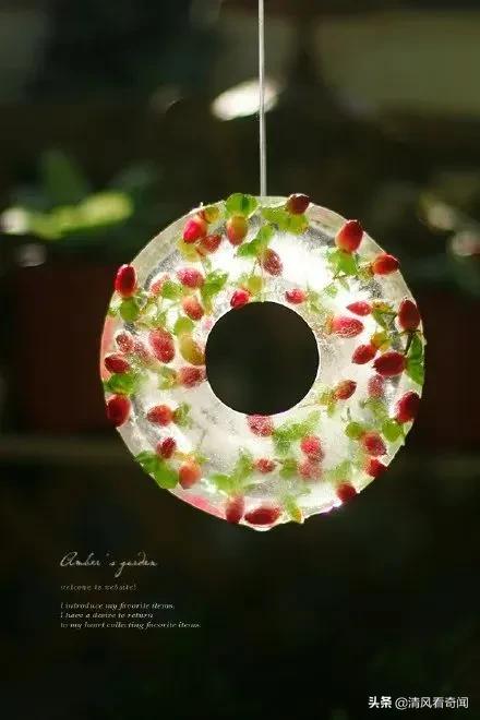 冻冰花美篇,冻冰花的美篇