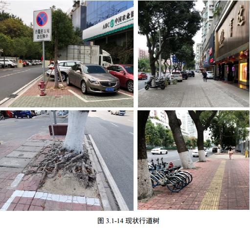 金砂东、大学路、潮汕路，汕头市区多条道路如何提升品质？