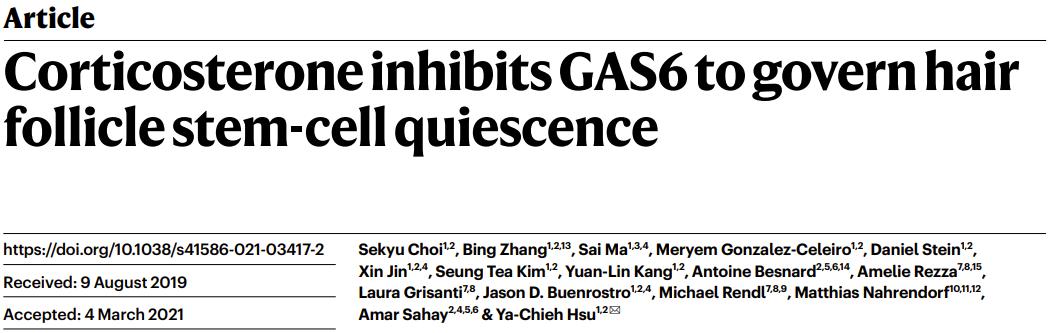 压力大掉头发是怎么回事,压力大掉头发咋办