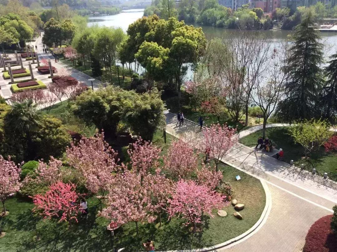 南京人少景美的免费公园,太全了全国旅游简图