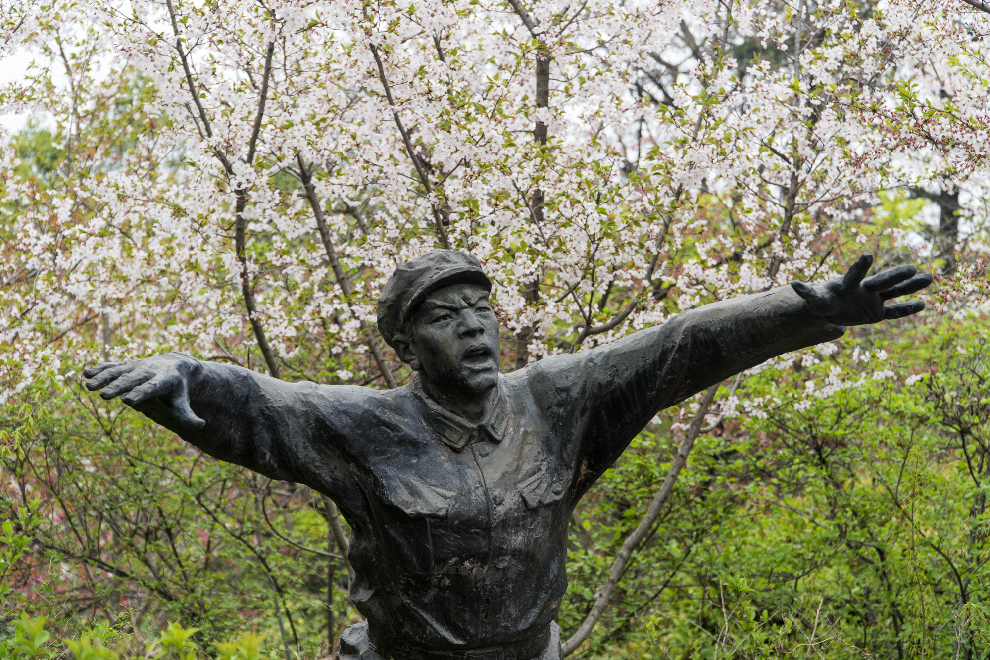 徐州周末郊游的好地方,徐州自然风光好去处