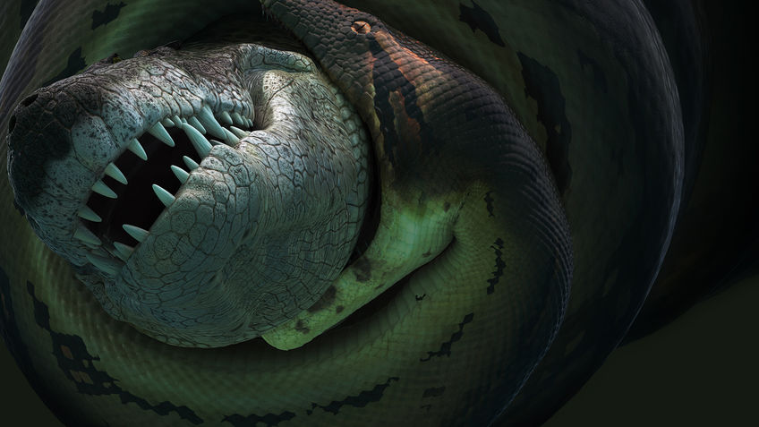 世界上体型最大最重的蛇是什么蛇,中国最大的眼镜蛇有多大