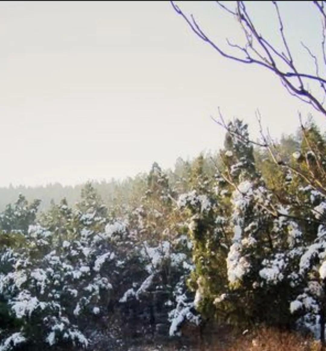 济南的冬天朗诵,济南的冬天作文