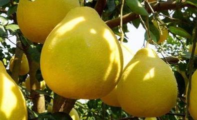 游四方全部视频,游四方四川