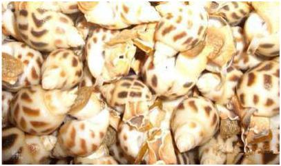 看图识海鲜，这些水产海鲜你都认识吗？