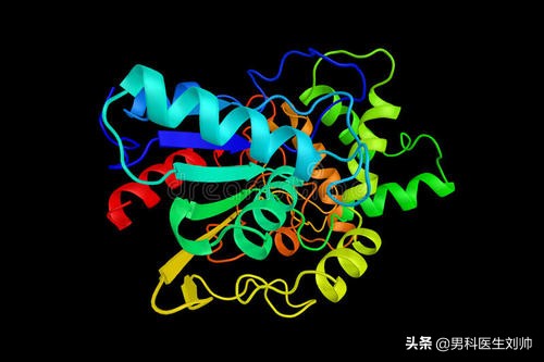 提升前列腺功能,前列腺功能丧失