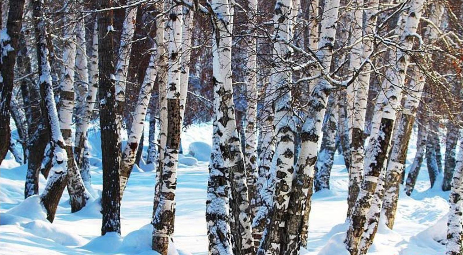 雪都阿勒泰草原,新疆阿勒泰大草原