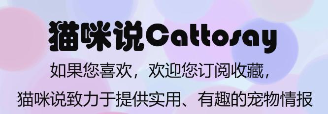 给猫减肥为啥越减越肥,猫减肥的最佳方法