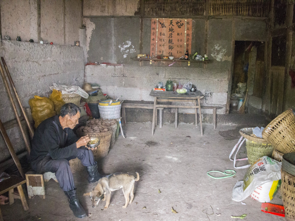 投出个好球,投出个未来小说