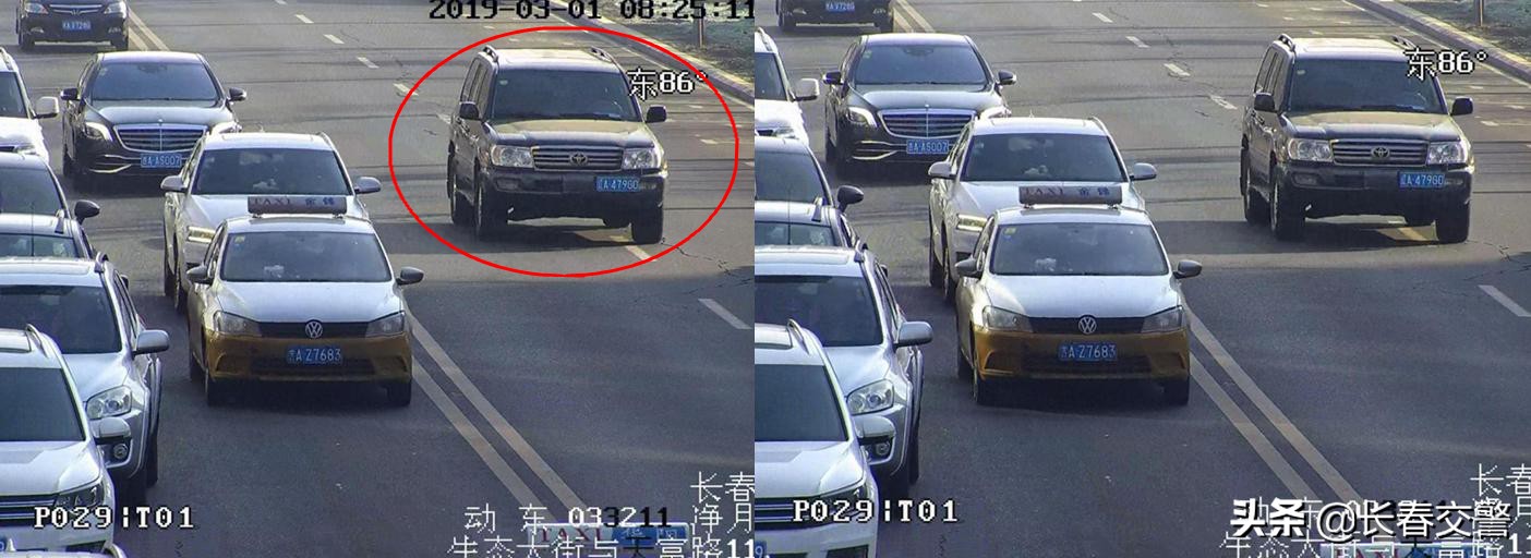 违法曝光台,违法曝光台第96期