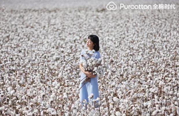 稳健医疗有前途吗,稳健医疗未来趋势