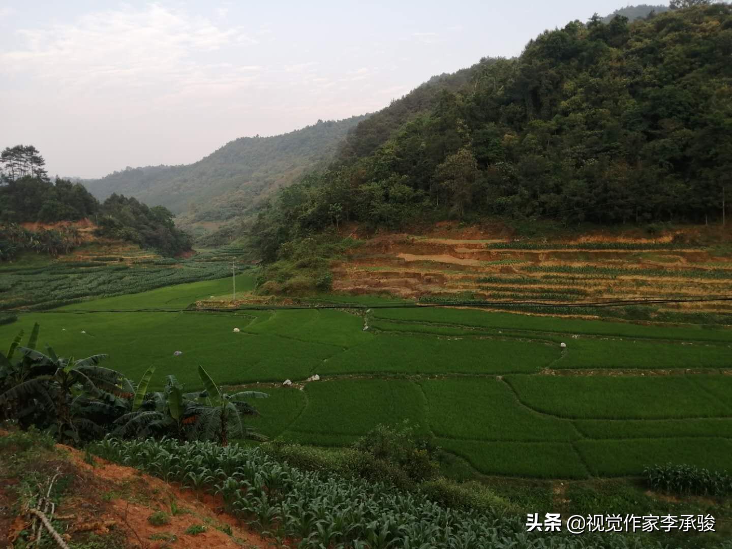 哦，德保县荣华乡乐屯，我土土的故乡和土土的家乡人，春天好！