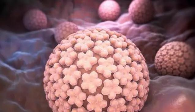 关爱女性健康从两癌筛查开始图片,关爱女性健康定期筛查两癌