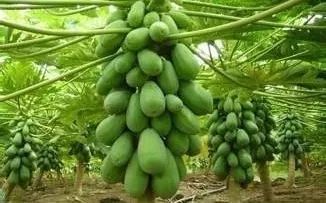 福建长汀最好玩的地方在哪里,福建长汀最好玩的地方在哪里呀