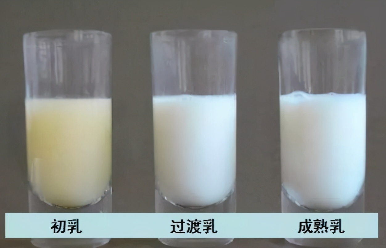 奶水清就是没营养吗,奶水清淡还没有营养