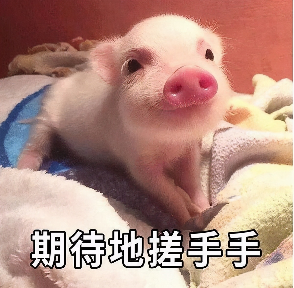 如何拥有好的皮肤教你这几招,怎样才能拥有白白净净的皮肤