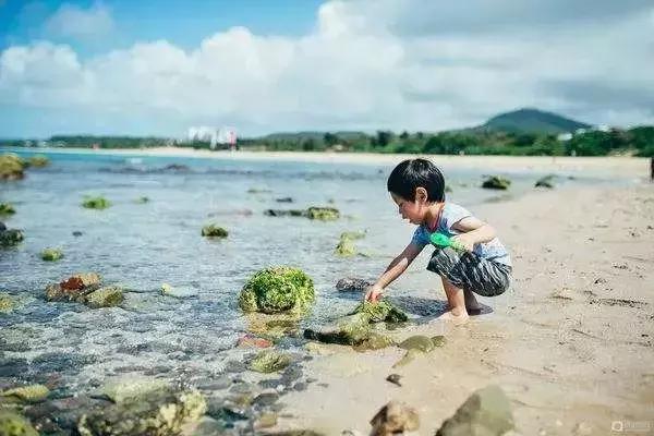 天津最适合旅游的小岛,不去景点北戴河怎么玩