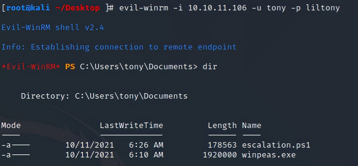 网络安全渗透软件是什么,网络安全渗透是做什么的
