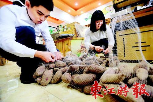 惠州龙门县购物,惠东淘淘宝