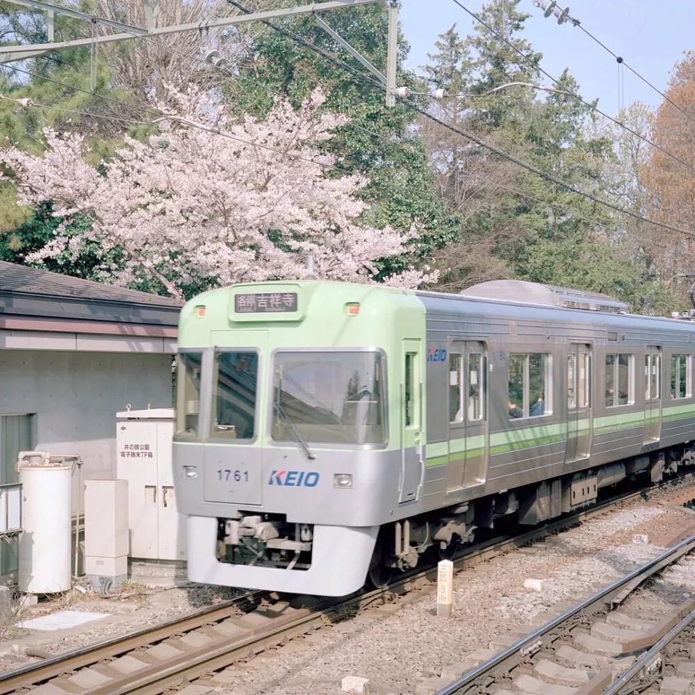 暗恋翻车后完整版,暗恋翻车后全文免费阅读下载