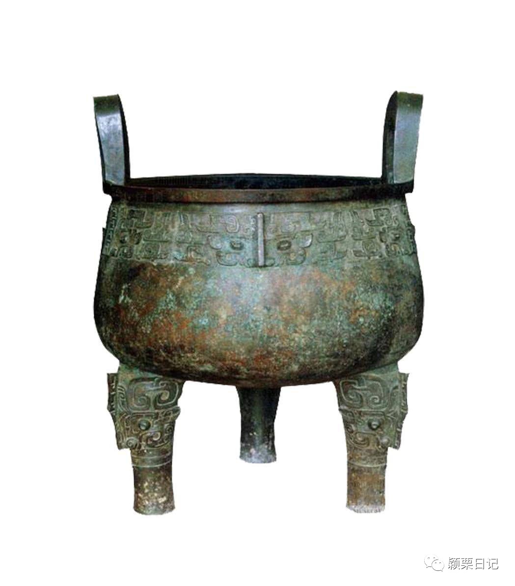 关于白鹭的资料,关于白鹭的资料五年级