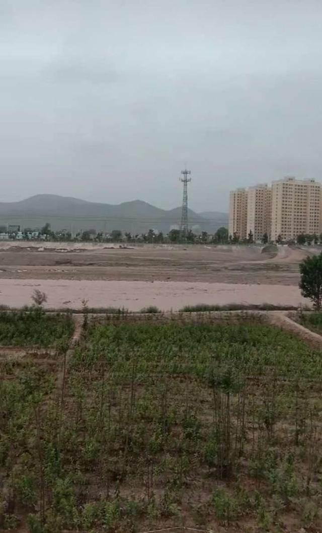 甘谷金山农民作家张志刚,甘谷徒步张志刚