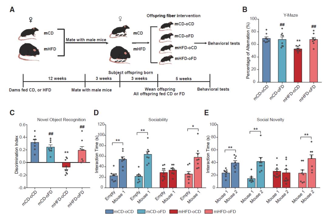儿童肥胖症饮食营养干预,儿童预防肥胖之合理膳食