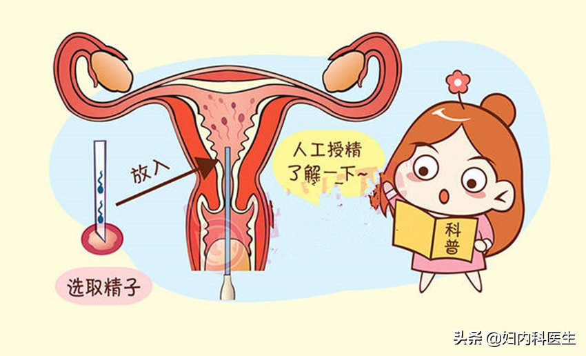 人工授精和试管婴儿哪个优生优育,人工授精和试管婴儿怎么区别