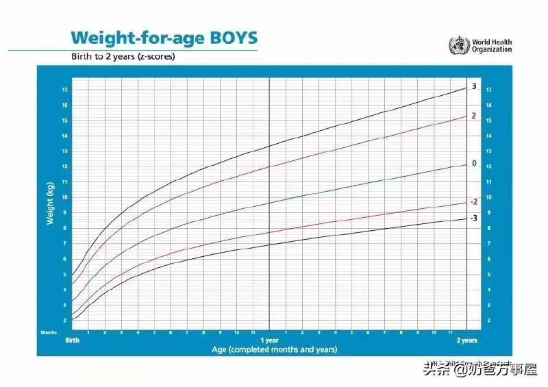 孩子肥胖营养师,营养师如何给孩子补充营养