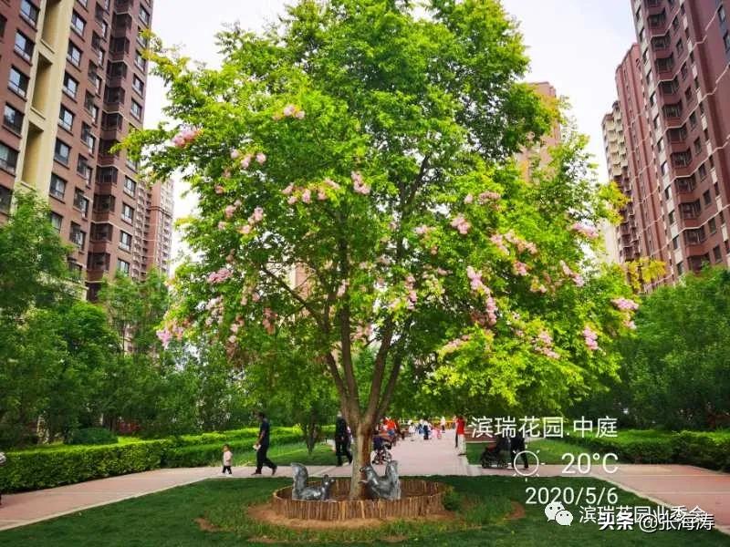 滨瑞花园业委会对星河物业滨瑞花园团队阶段工作的表扬