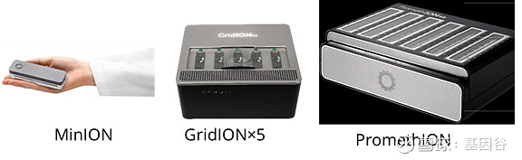 全场硬菜！分子诊断技术全解析