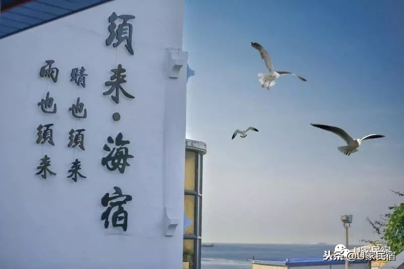 大连海边民宿排行榜前十名,大连旅游选择什么民宿方便又便宜