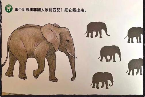 比补课班还管用的教辅书,让绘本成为孩子童年最亲密的伙伴