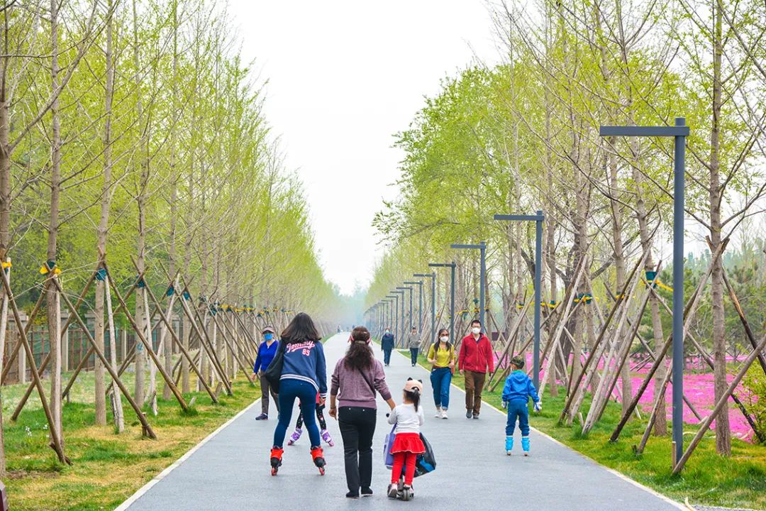 春意盎然北京五大公园,北京区级综合性公园
