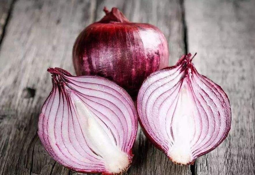 经验总结饲养比熊犬要提防这几点,如何正确饲养比熊犬5大注意事项