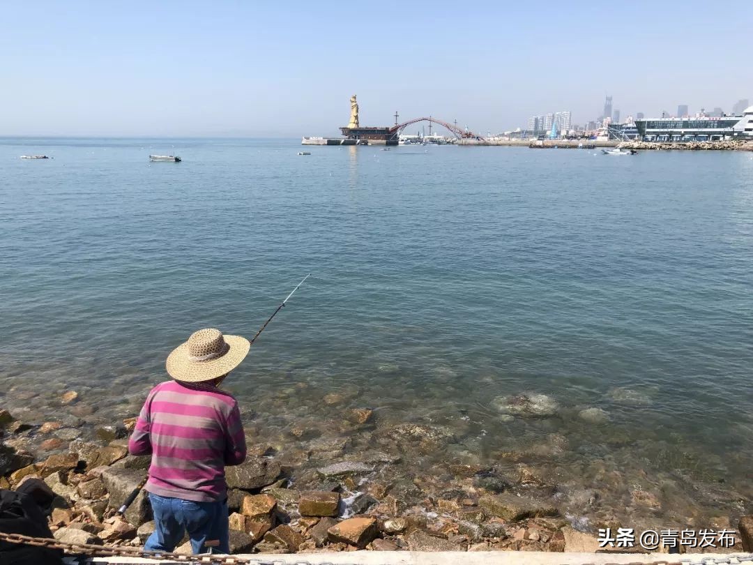 小麦岛风景青岛,小麦岛公园不一样的风景