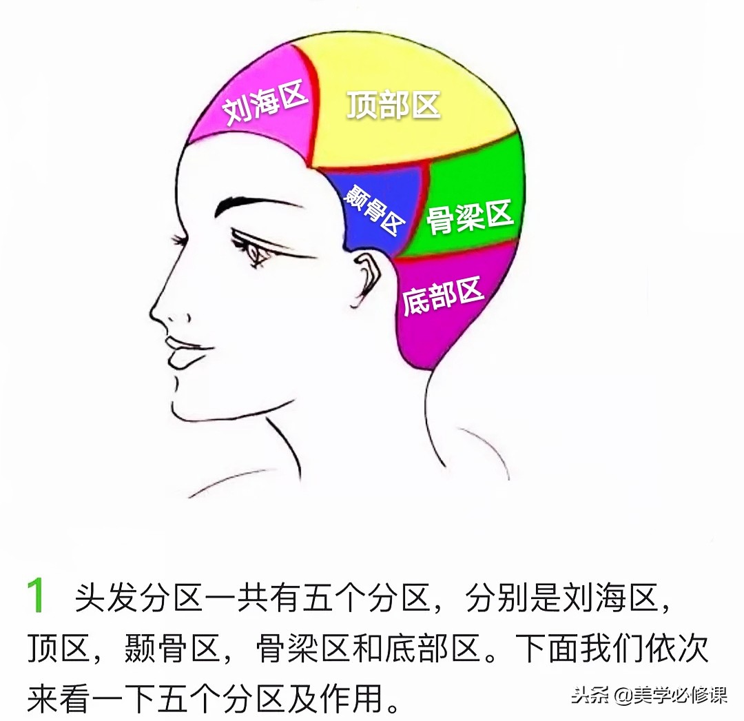 美发基础知识点线面分区手法,美发教学基本功头发分区