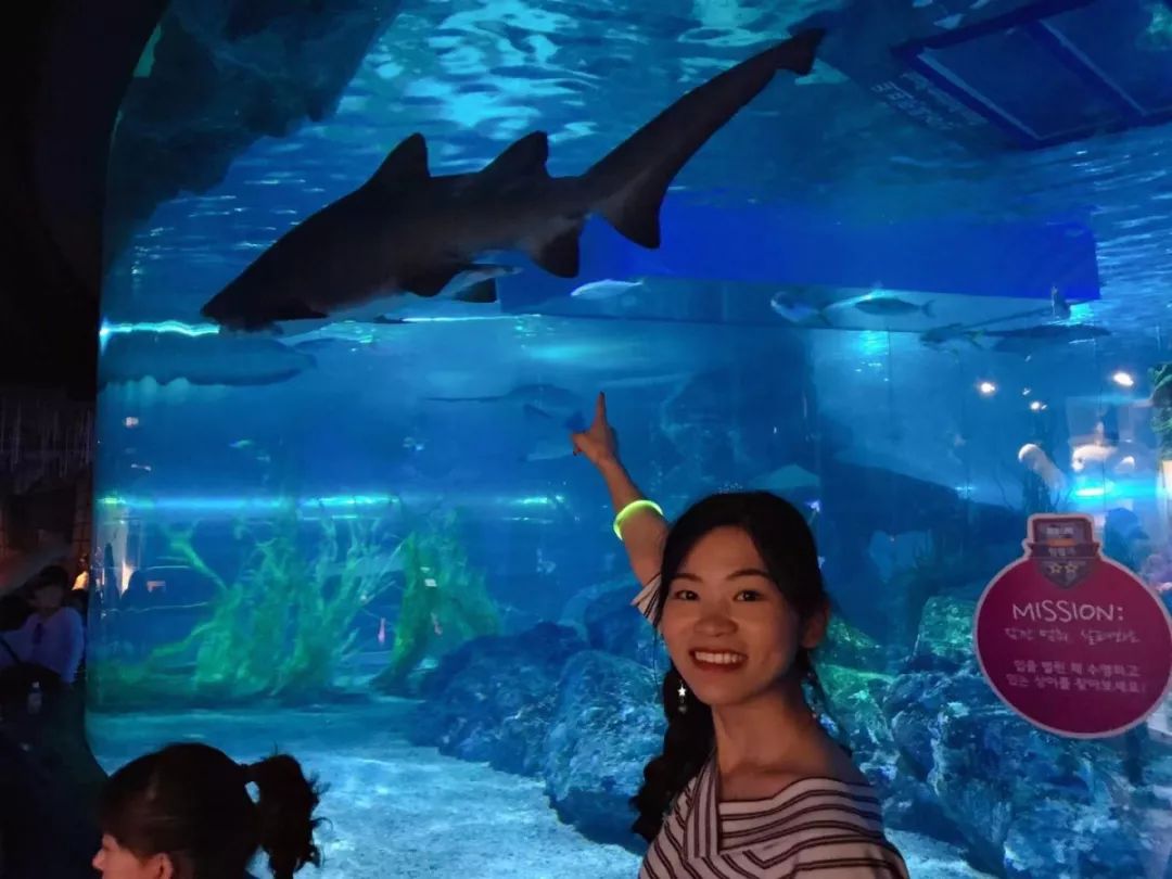 首尔釜山怎么玩？最全旅*行游**程攻略（7天）都在这里了