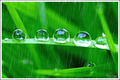 今夜有雨敲窗完整版,今夜有雨敲窗将我从睡梦中惊醒