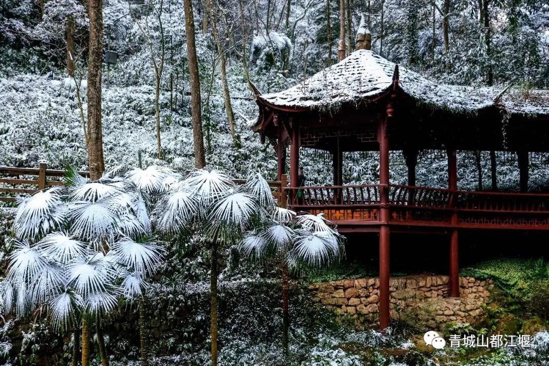 无雪不成冬,都江堰玩雪一日游