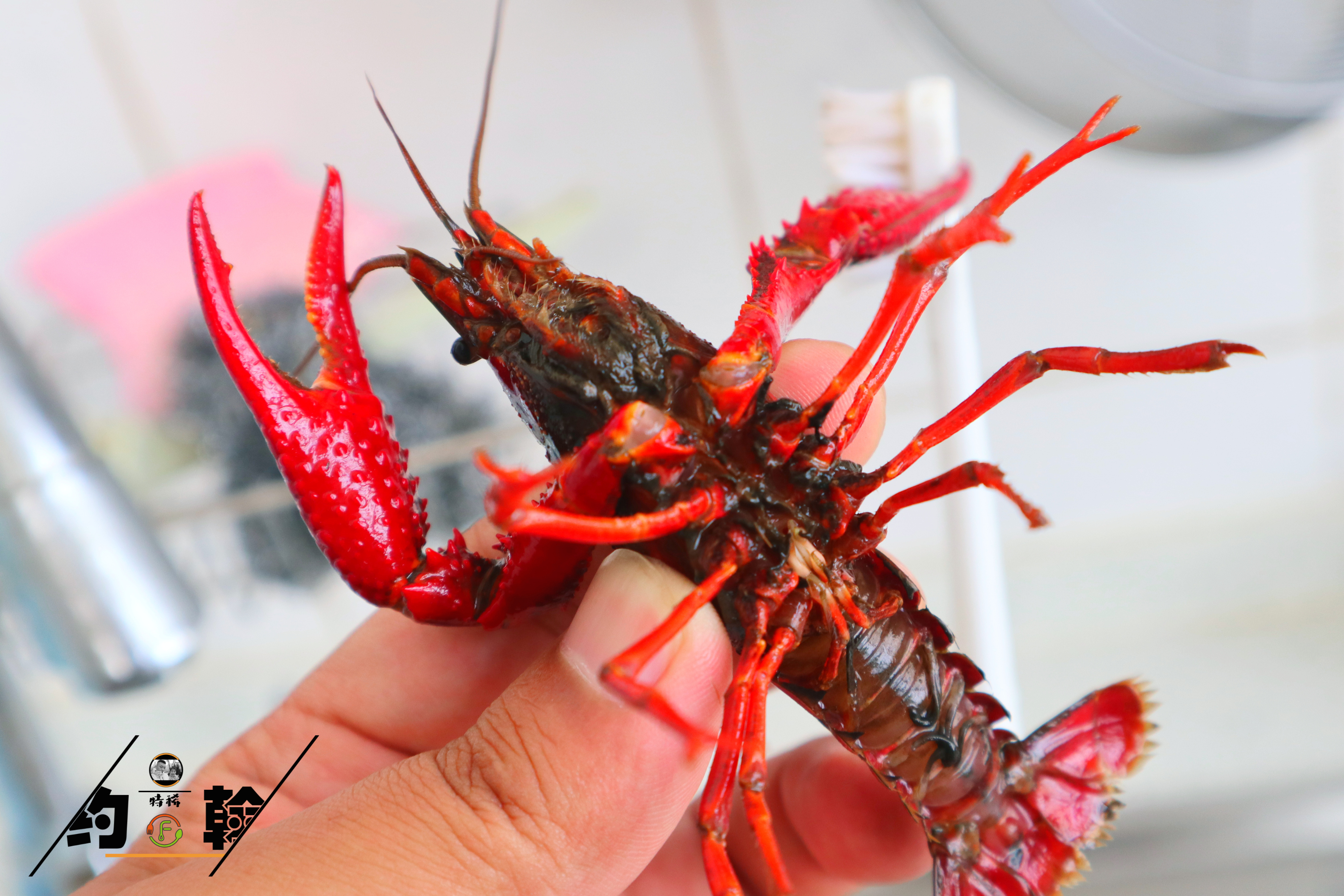 夜宵小龙虾怎么做才好吃,四种小龙虾的经典的做法