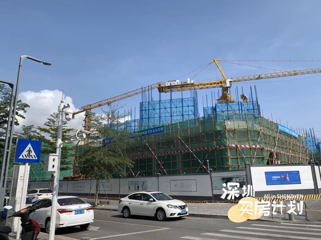 撸完宝安18个新盘！打地鼠式打新来了，你准备pick谁？