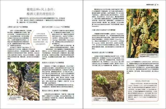 当别人热烈的谈论葡萄酒，你却不知道说些什么？