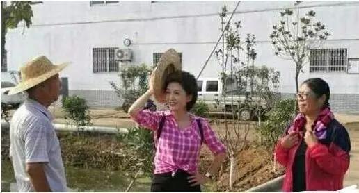 海霞主持人谈家乡,海霞主持人回老家现场