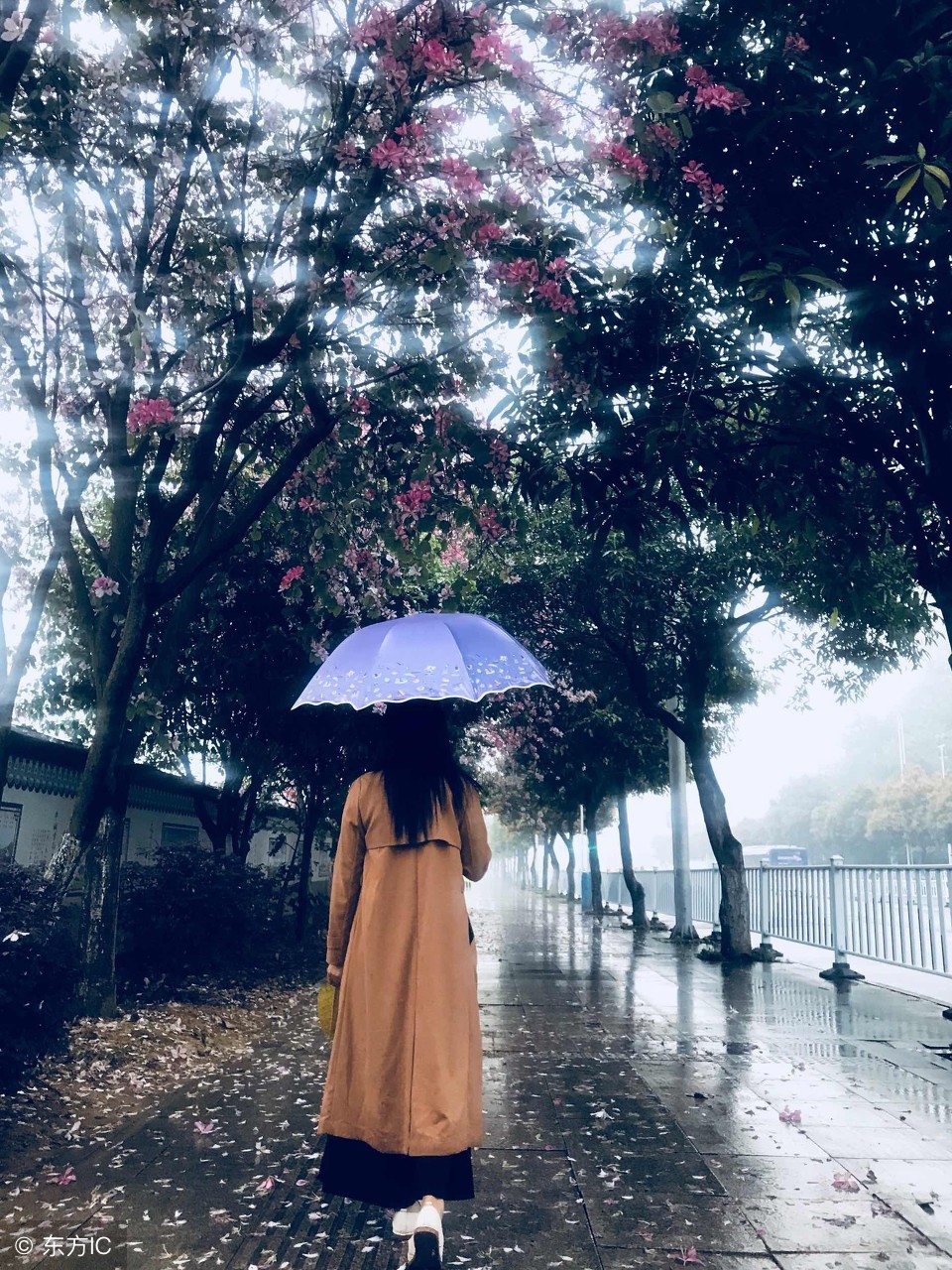 宋词300首精选短篇大全,宋词三百首精选大全