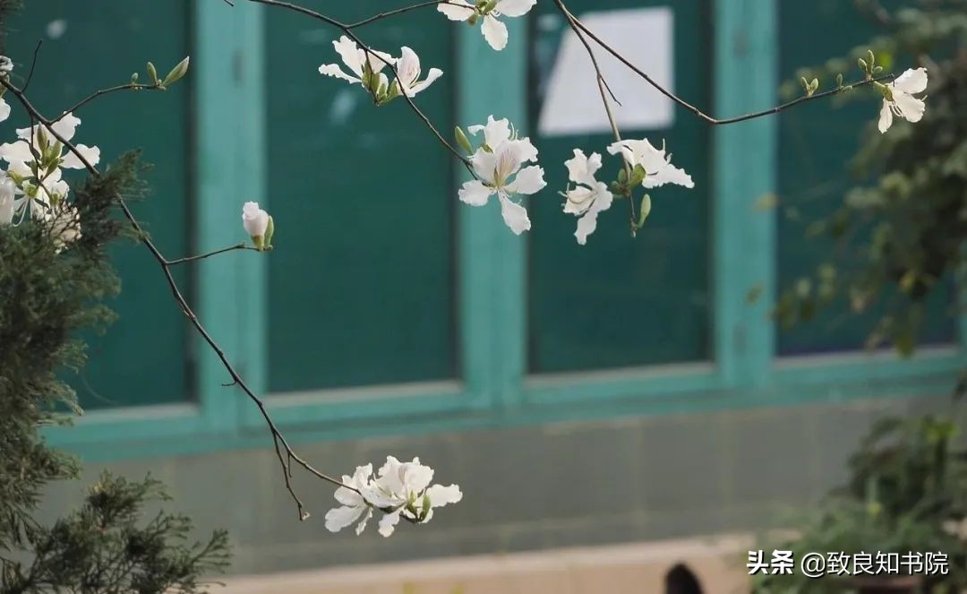 王阳明守正笃行久久为功,守正出奇成就璀璨人生图片