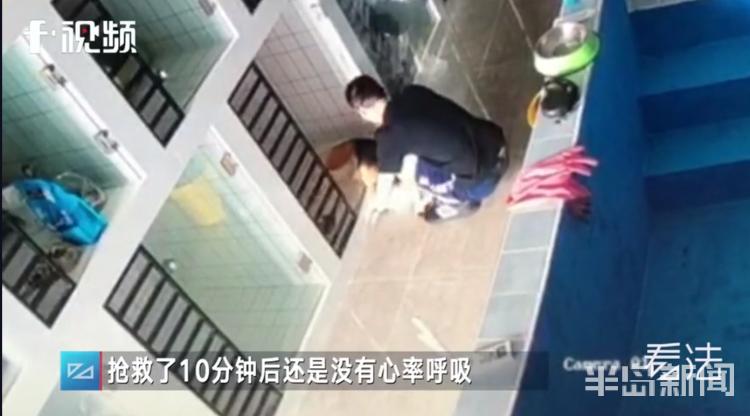 青岛宠物店柯基寄养被打死,狗在宠物店猝死